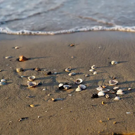 Beachfront With Sea View Daire Bibione
