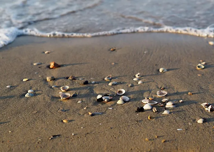 Beachfront With Sea View Daire Bibione